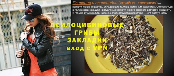 гидропоника Алзамай
