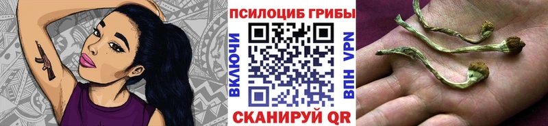 hydra ссылки  Салехард  Галлюциногенные грибы Psilocybe 